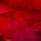 la-fenice-153x106